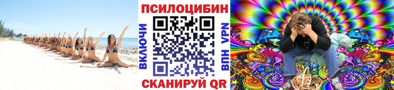 Галлюциногенные грибы Magic Shrooms  Палласовка 
